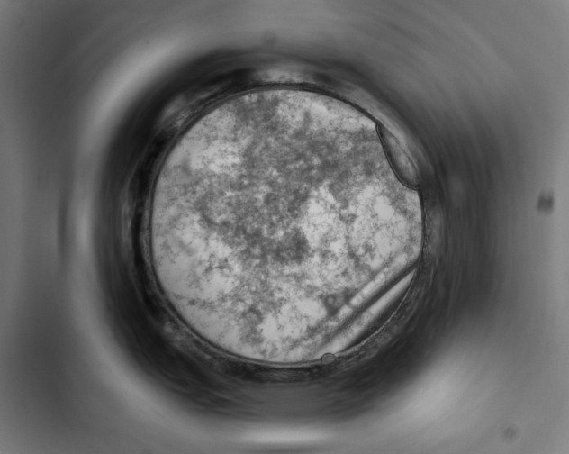 X0000102501151200809051339