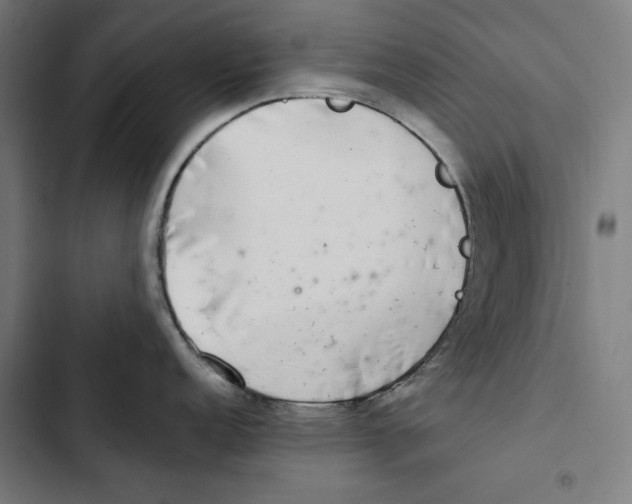 X0000102501152200809051339