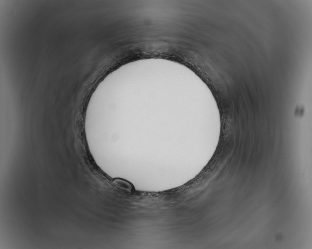 X0000102501153200809051339