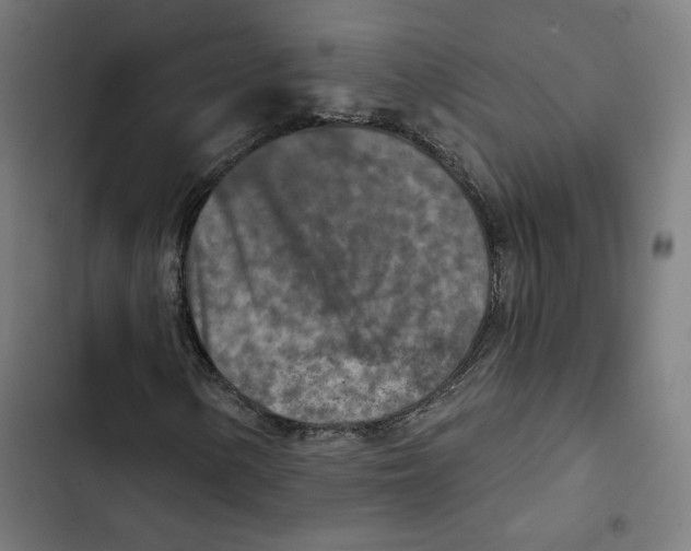 X0000102501154200809051339