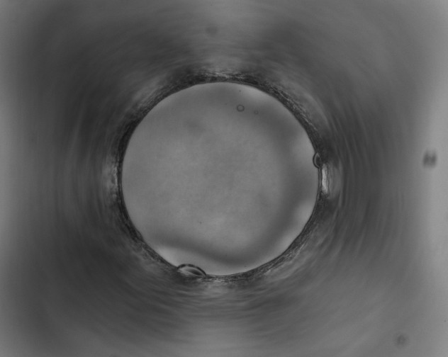 X0000102501155200809051339