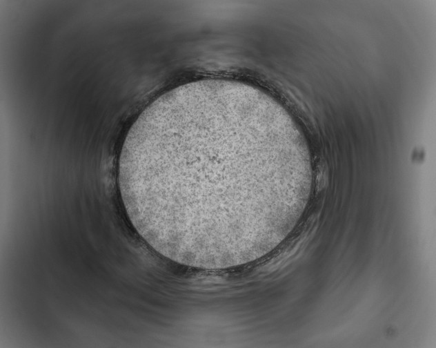 X0000102501156200809051339