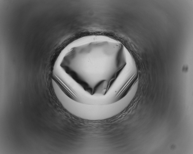 X0000102501157200809051339