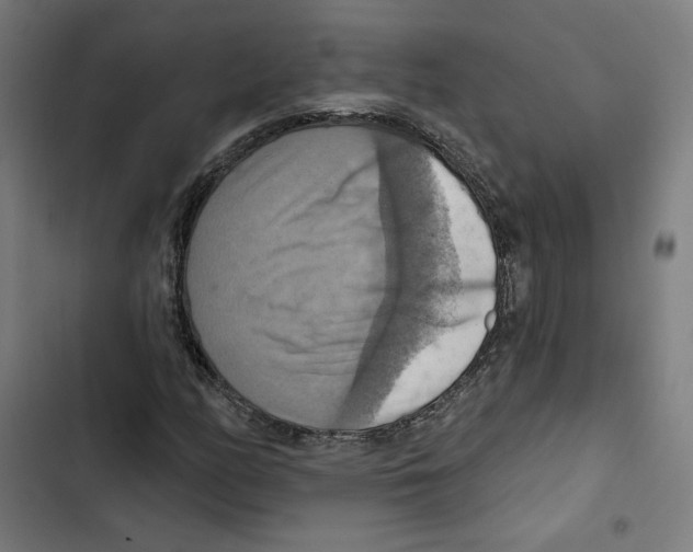 X0000102501158200809051339