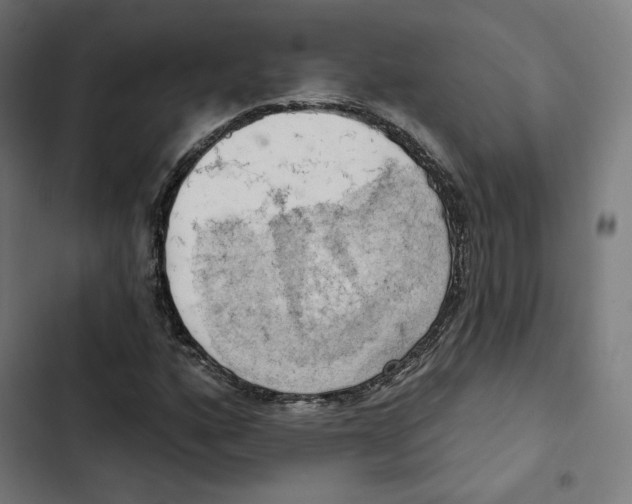 X0000102501160200809051339