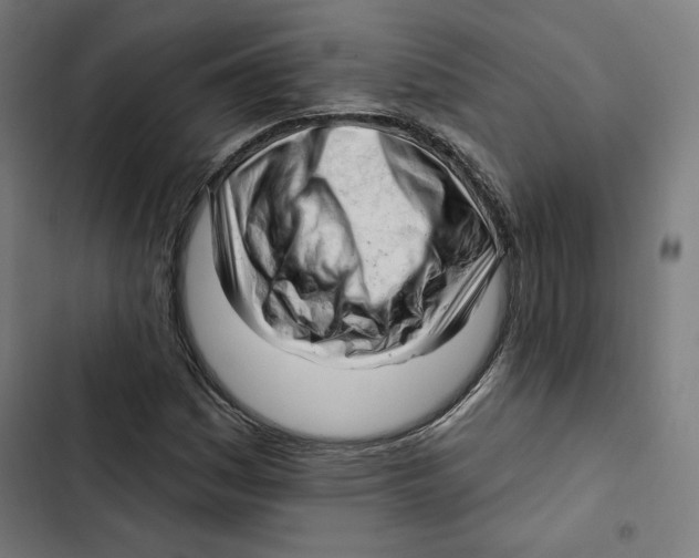 X0000102501161200809051339