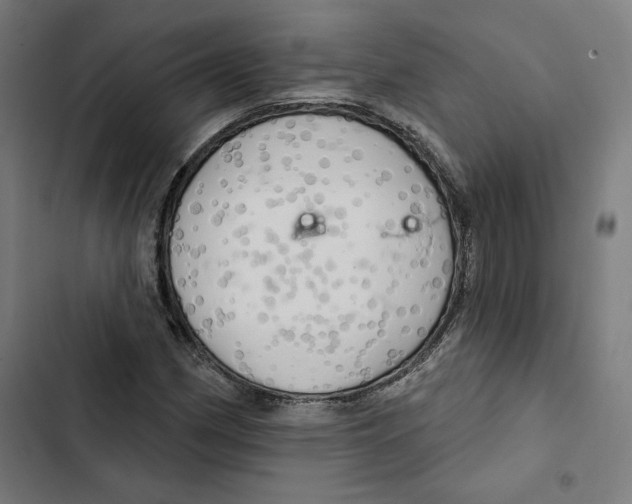 X0000102501162200809051339