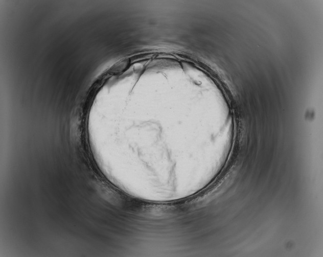 X0000102501163200809051339