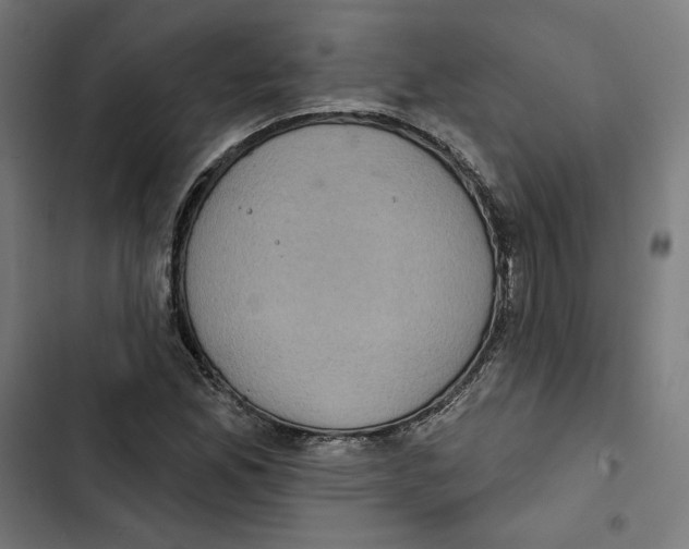 X0000102501165200809051339