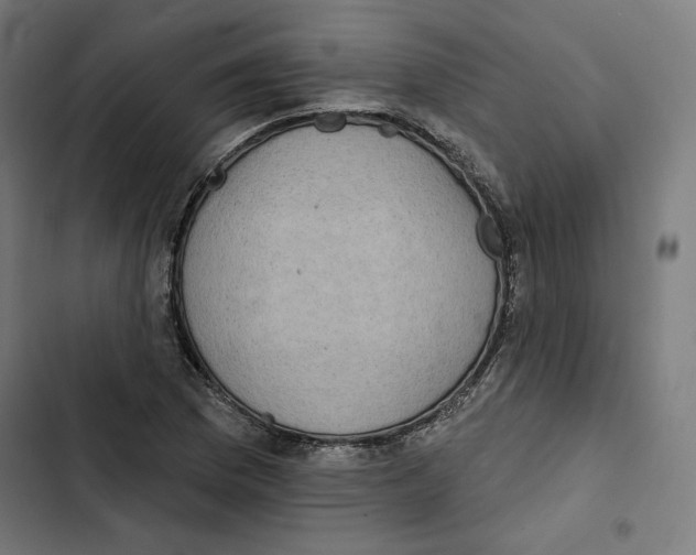 X0000102501169200809051339