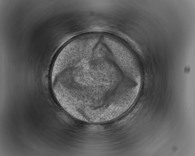 X0000102501170200809051339