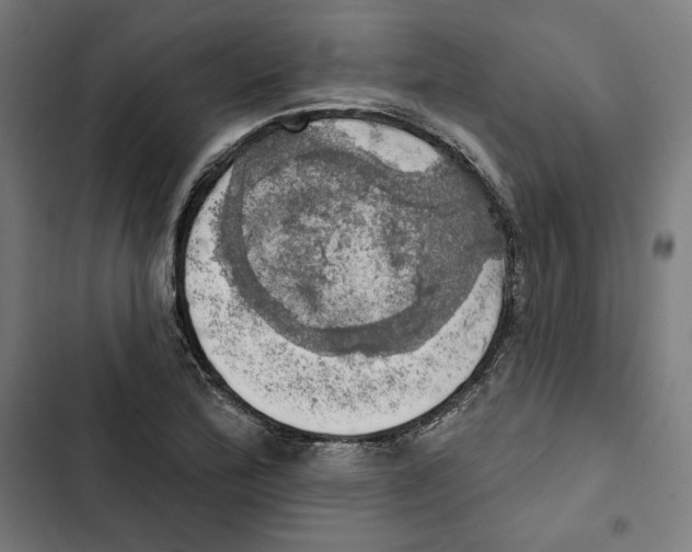 X0000102501172200809051338