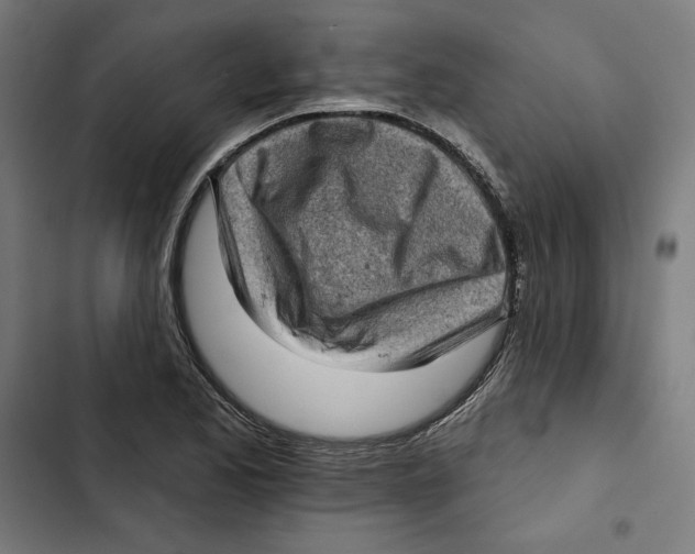 X0000102501173200809051338