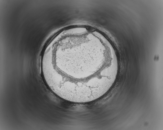 X0000102501175200809051338