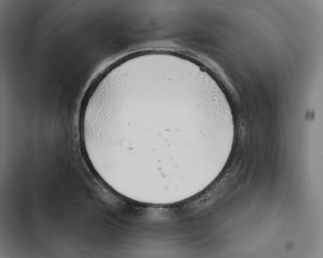 X0000102501176200809051338