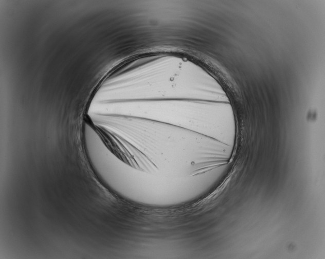 X0000102501177200809051338