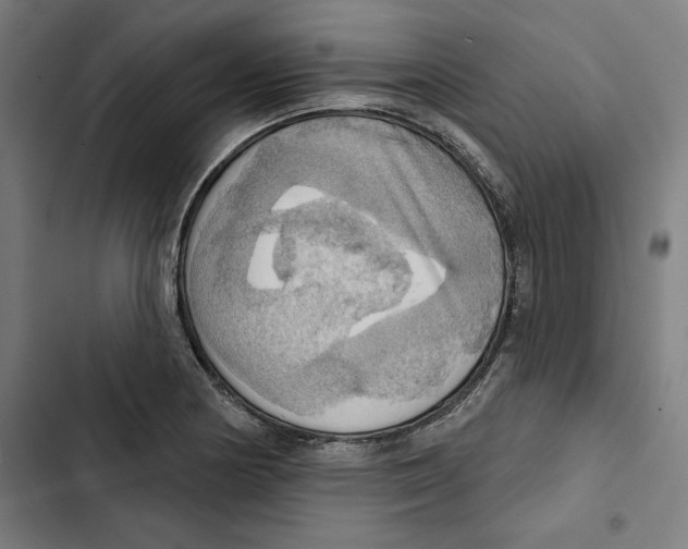 X0000102501178200809051338