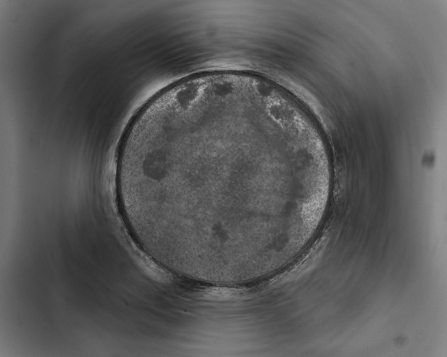 X0000102501179200809051338