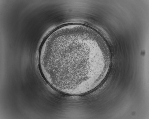 X0000102501180200809051338