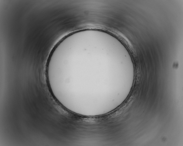 X0000102501182200809051338