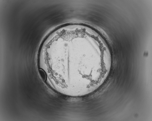 X0000102501183200809051338