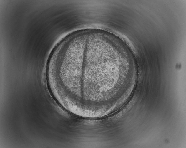 X0000102501184200809051338