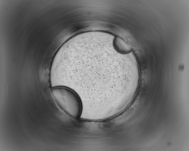 X0000102501185200809051338