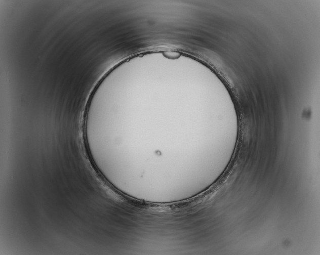 X0000102501186200809051338