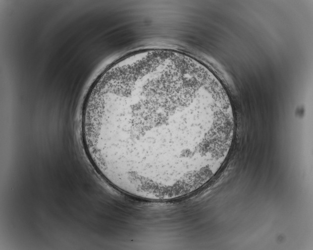 X0000102501188200809051338