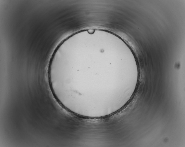 X0000102501189200809051338