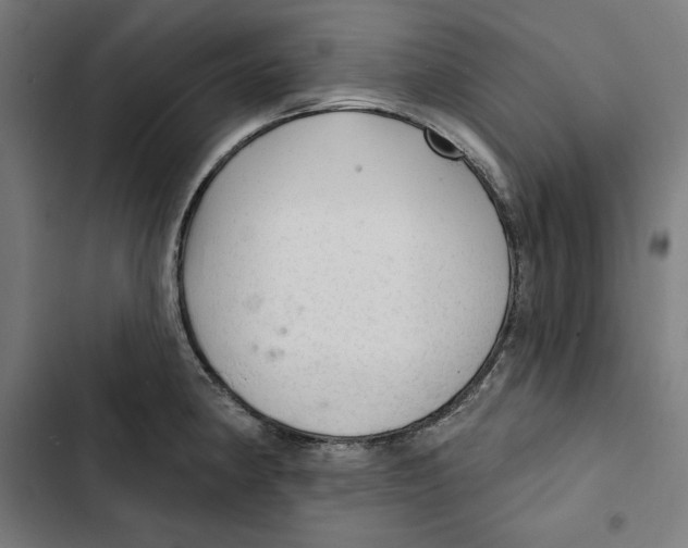 X0000102501190200809051338