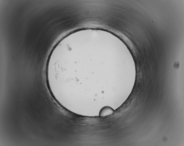 X0000102501191200809051338