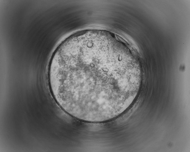 X0000102501192200809051338