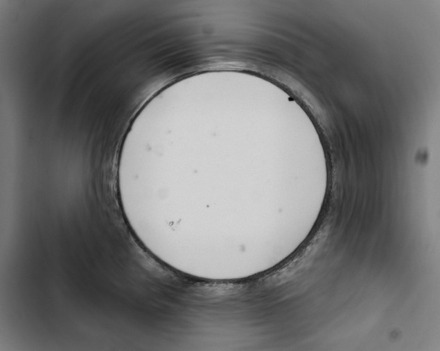 X0000102501193200809051338