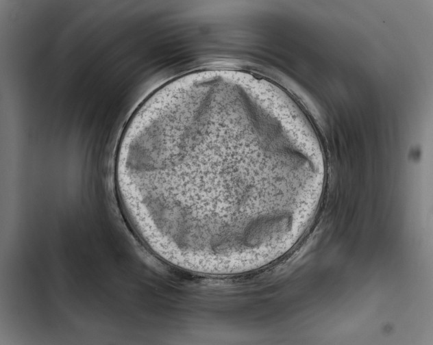 X0000102501194200809051338