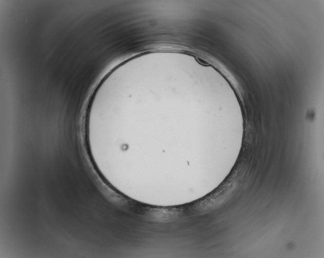 X0000102501195200809051338