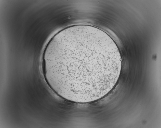 X0000102501196200809051338