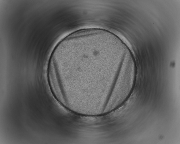 X0000102501197200809051338