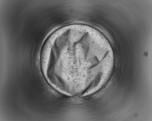 X0000102501198200809051338