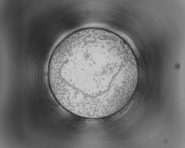 X0000102501199200809051338