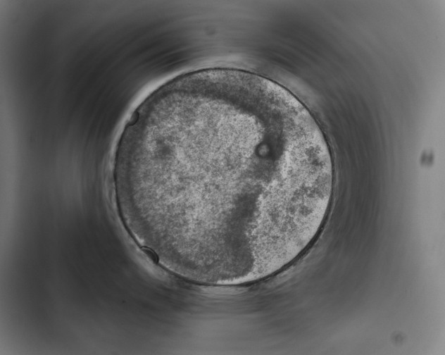 X0000102501200200809051338