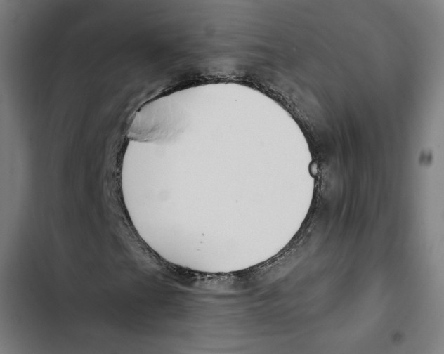 X0000102501201200809051337