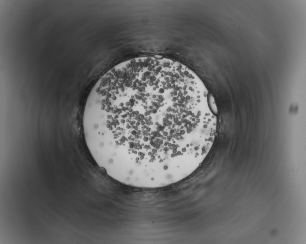 X0000102501202200809051337