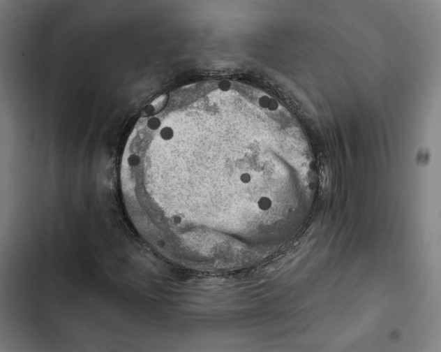 X0000102501204200809051337