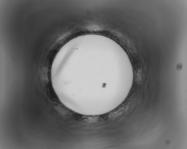 X0000102501205200809051337