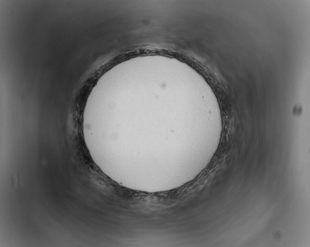 X0000102501207200809051338