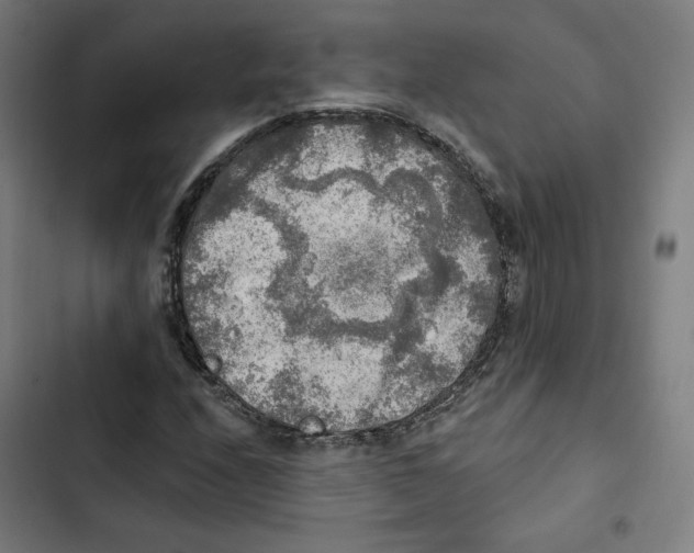 X0000102501208200809051338