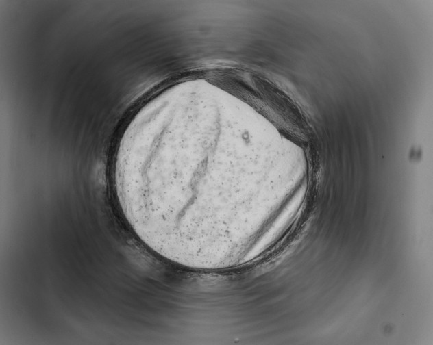 X0000102501209200809051338