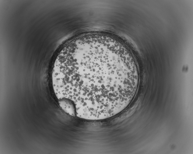 X0000102501210200809051338