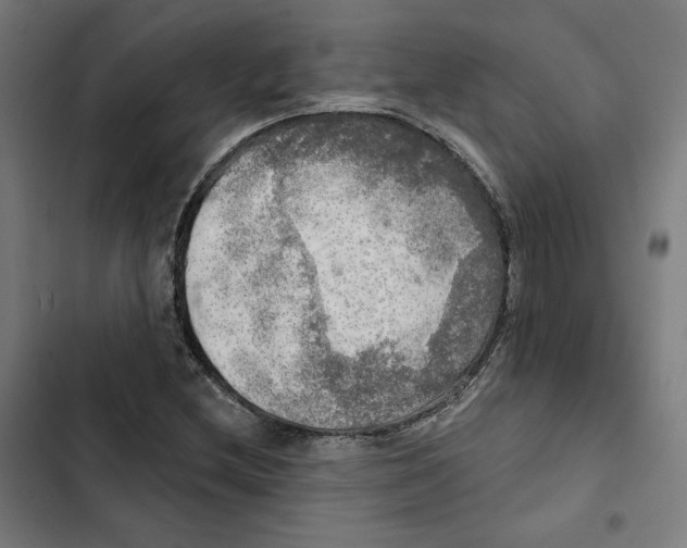 X0000102501212200809051338